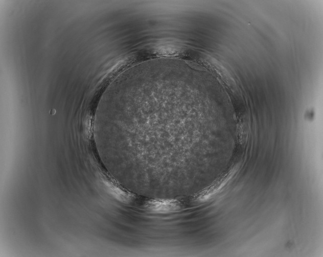 X0000098000093200804021042
