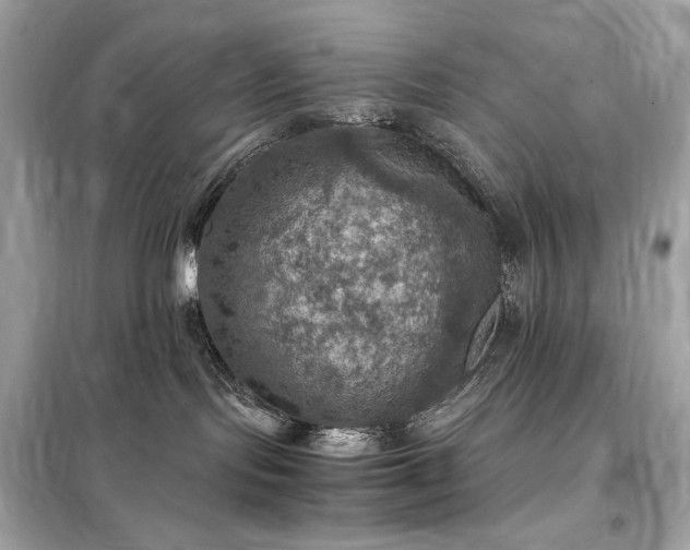 X0000098000095200804021042