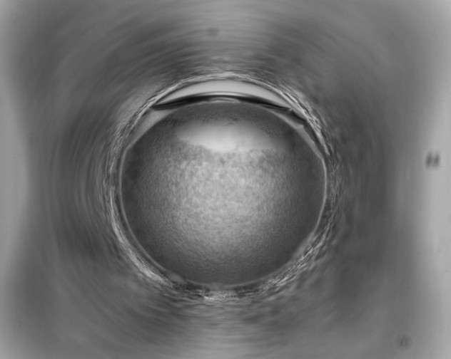 X0000098000097200804021041