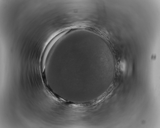 X0000098000100200804021041