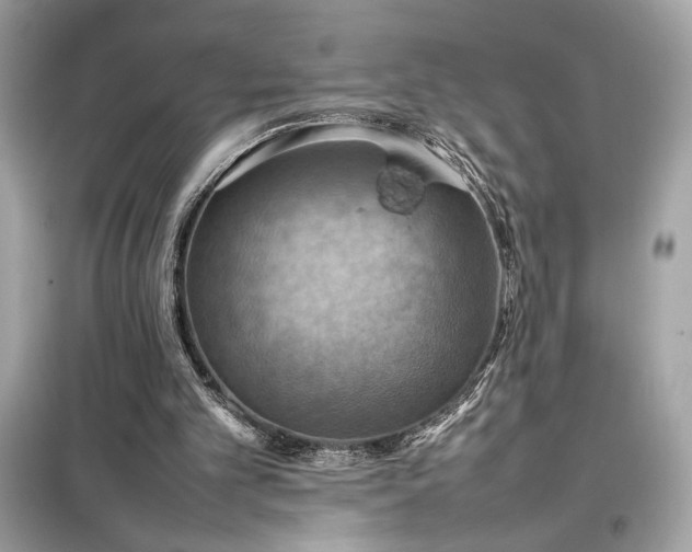 X0000098000101200804021041