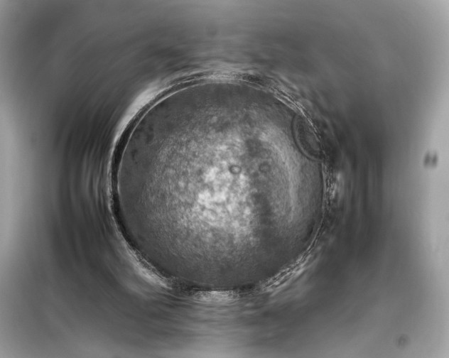 X0000098000102200804021041