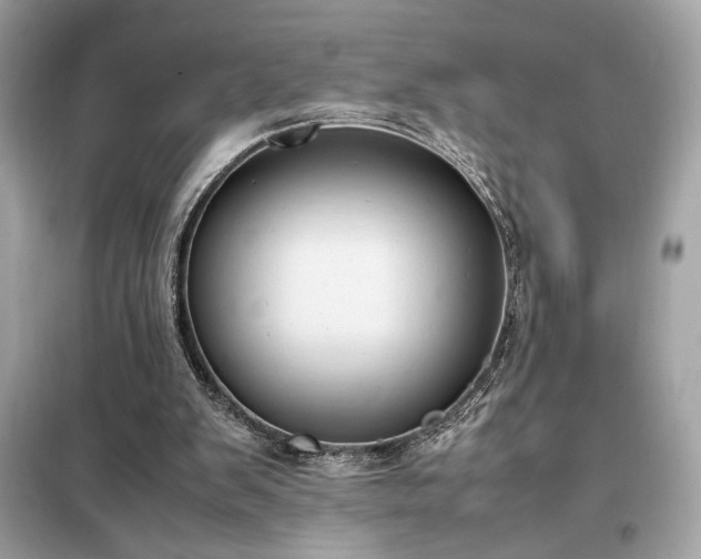 X0000098000103200804021041