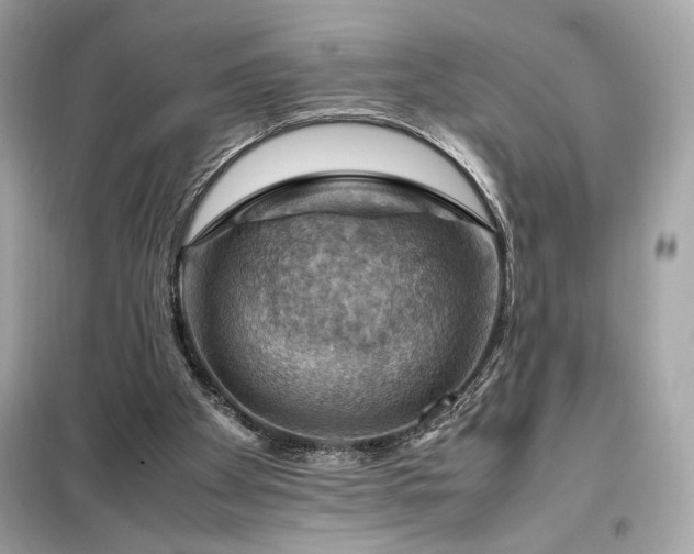 X0000098000105200804021041