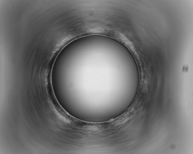 X0000098000106200804021041