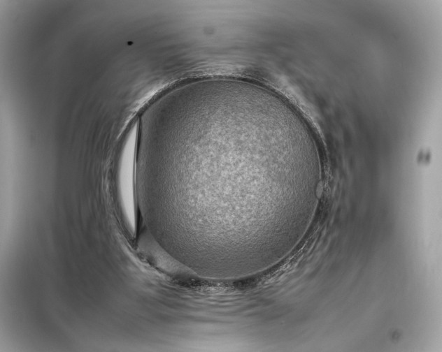 X0000098000107200804021041