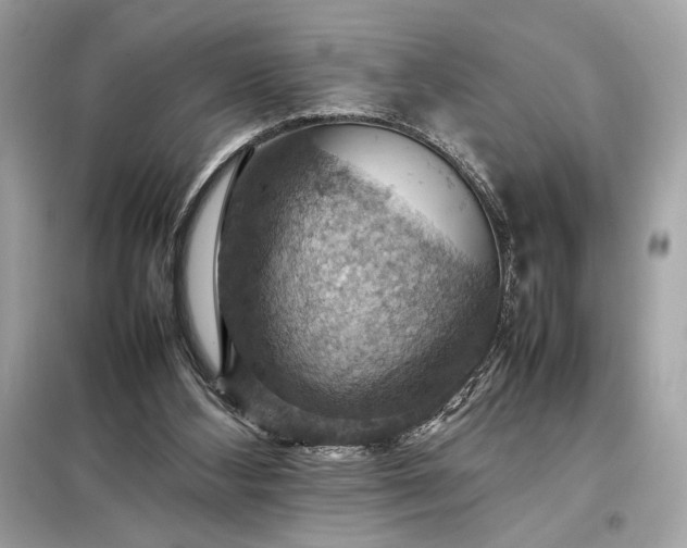 X0000098000108200804021041