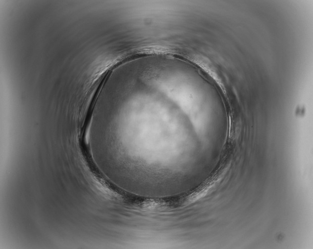 X0000098000109200804021041