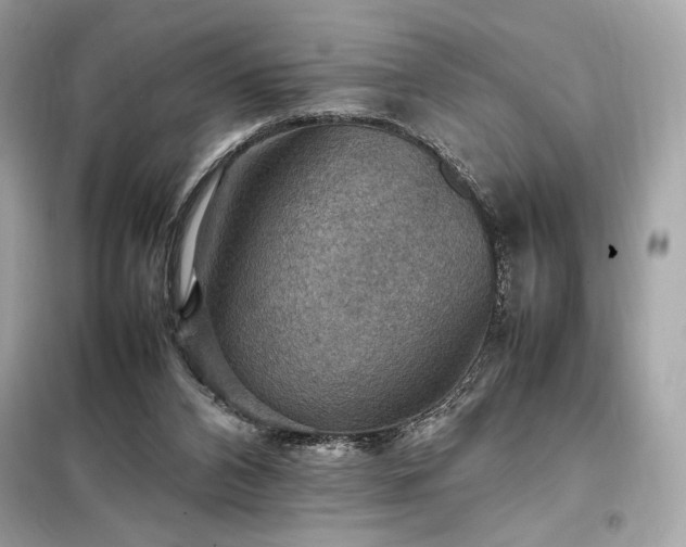 X0000098000112200804021041
