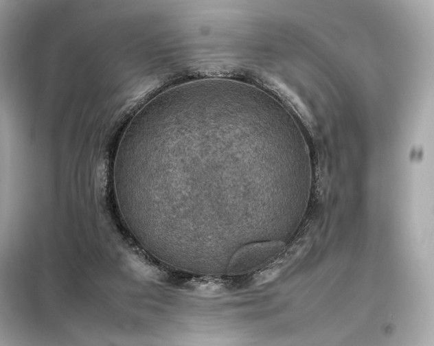 X0000098000113200804021041