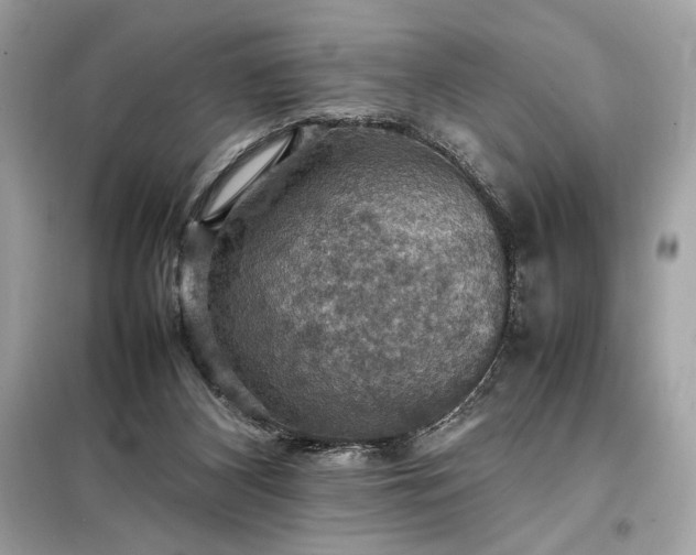 X0000098000116200804021041