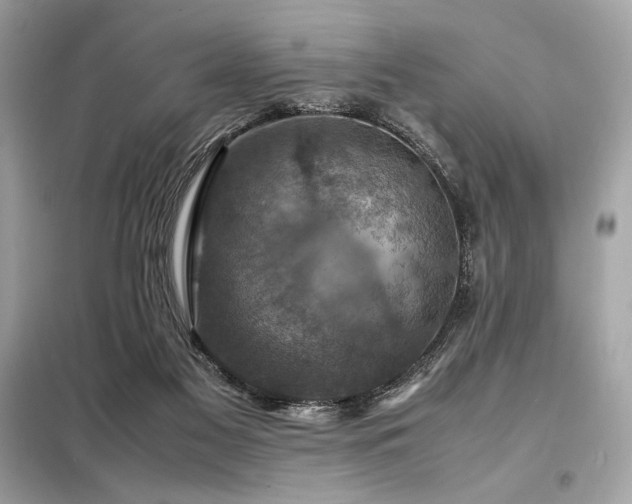 X0000098000117200804021041