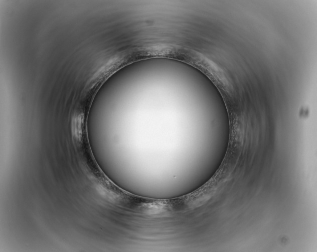 X0000098000118200804021041