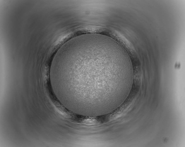 X0000098000119200804021041