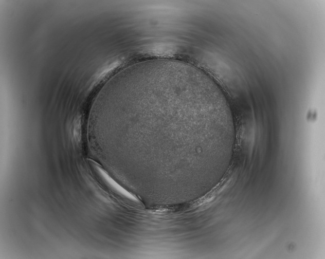 X0000098000120200804021041