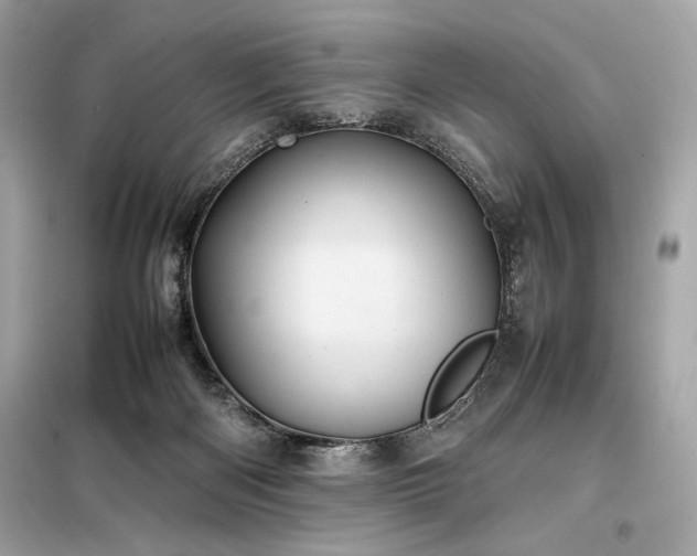 X0000098000122200804021041