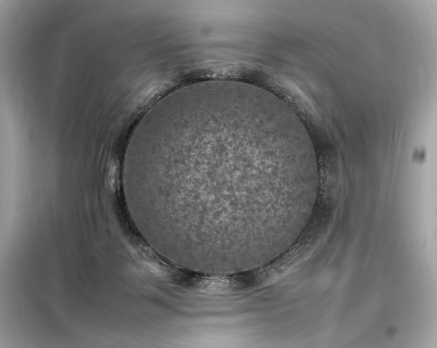 X0000098000123200804021041