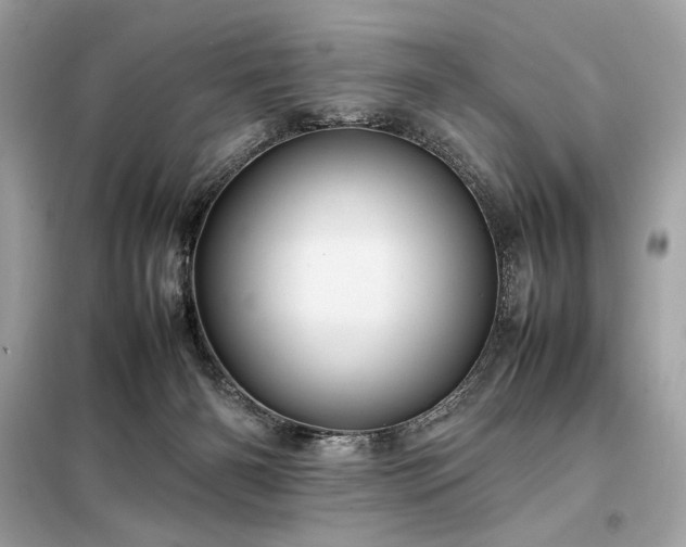 X0000098000126200804021041