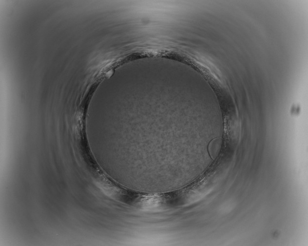X0000098000127200804021041