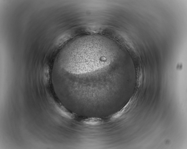 X0000098000128200804021041