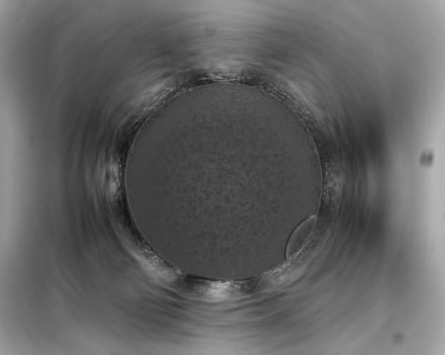 X0000098000130200804021041
