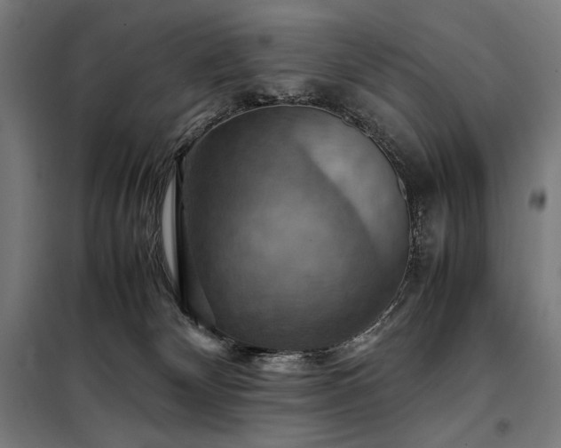 X0000098000132200804021040