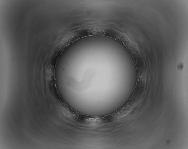 X0000098000133200804021040