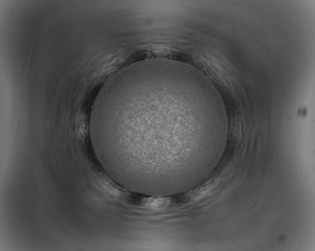 X0000098000135200804021040