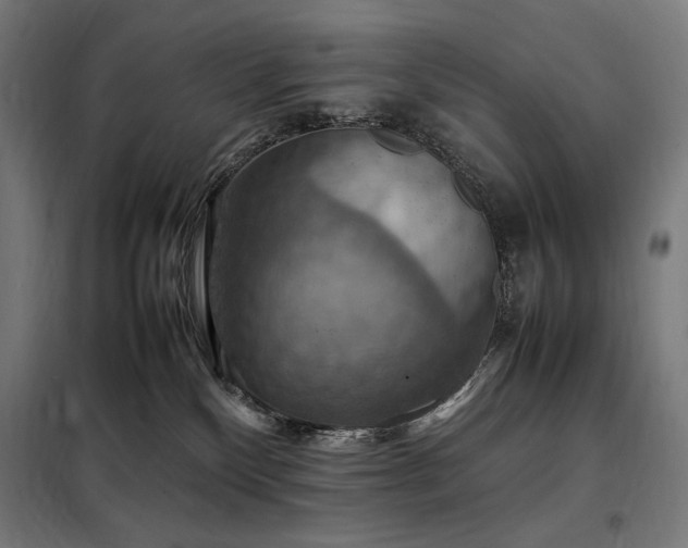 X0000098000136200804021040