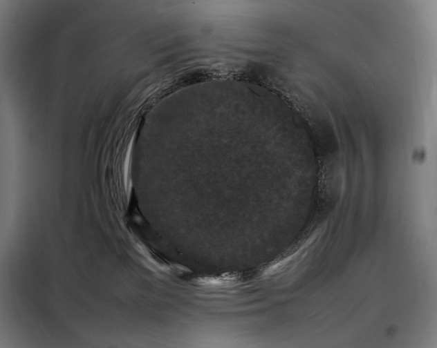 X0000098000137200804021040