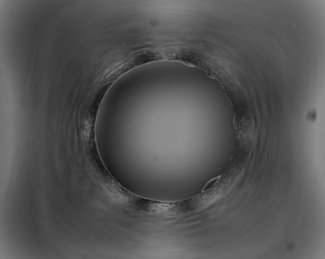 X0000098000139200804021040