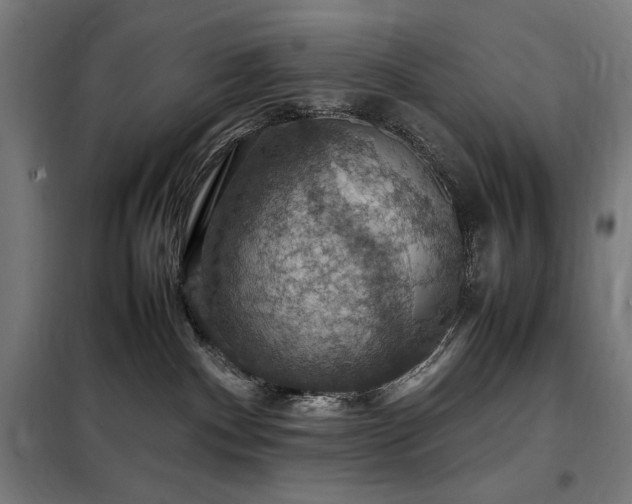 X0000098000140200804021040