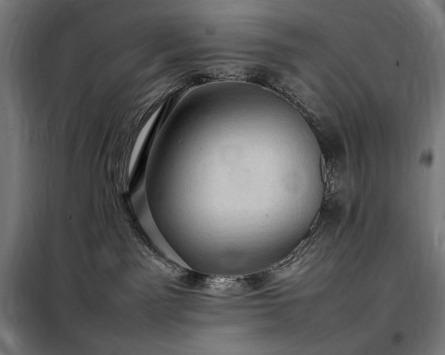 X0000098000141200804021040