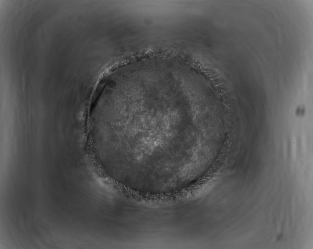 X0000098000144200804021040