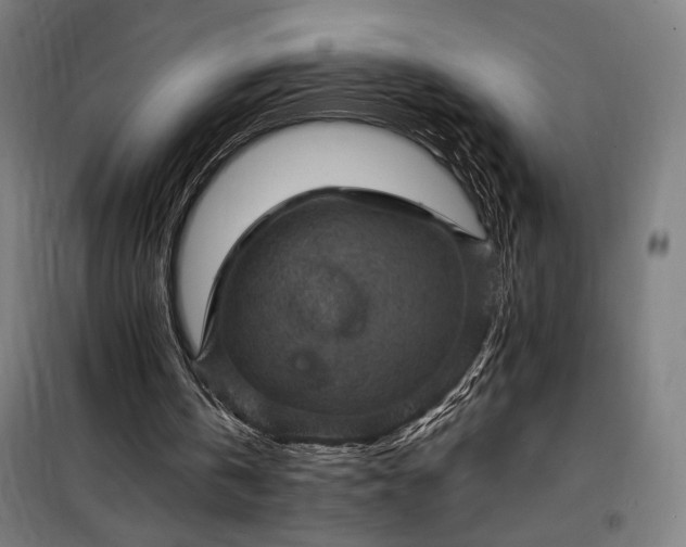 X0000098000146200804021039