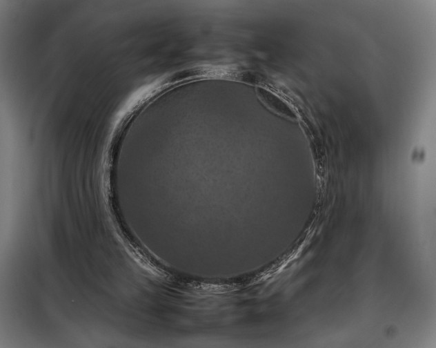 X0000098000149200804021040