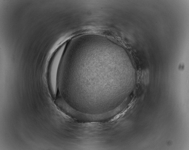 X0000098000150200804021040