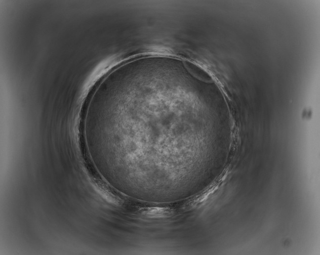 X0000098000151200804021040