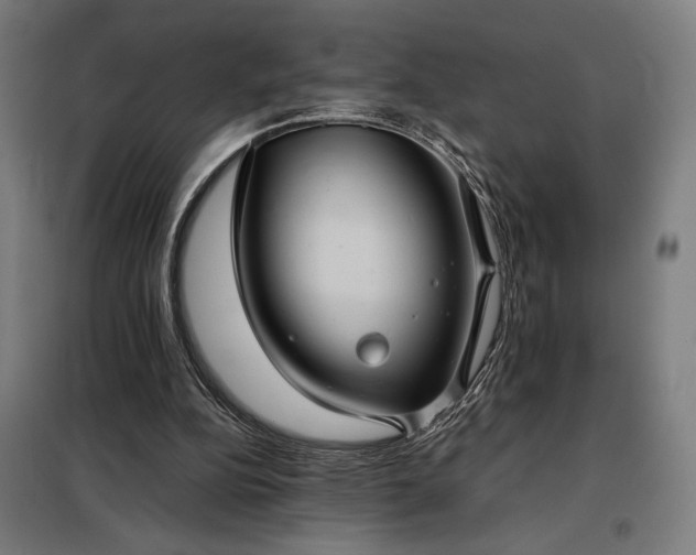 X0000098000152200804021040
