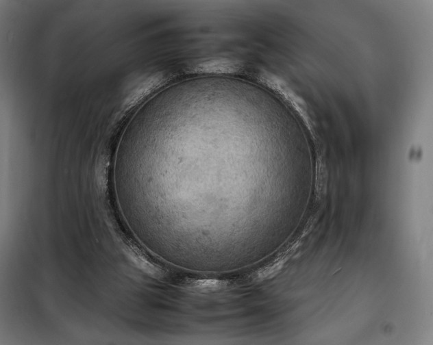 X0000098000153200804021040