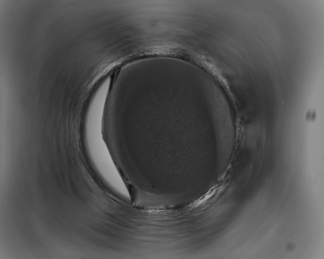 X0000098000154200804021040