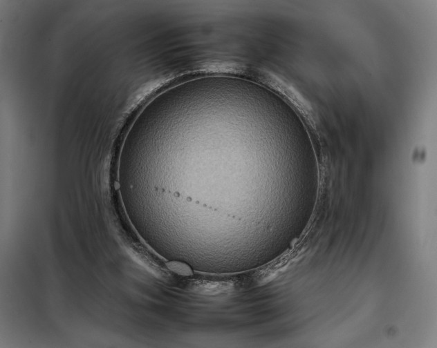 X0000098000155200804021040