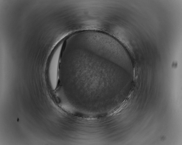 X0000098000156200804021040