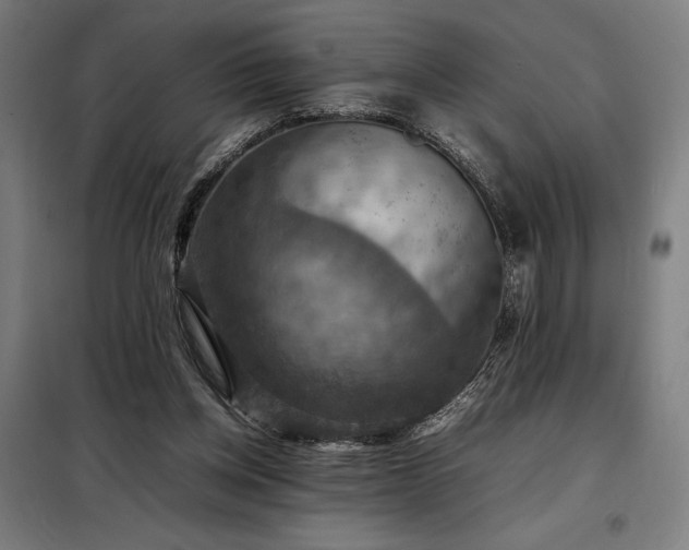 X0000098000158200804021040