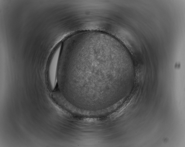 X0000098000160200804021040