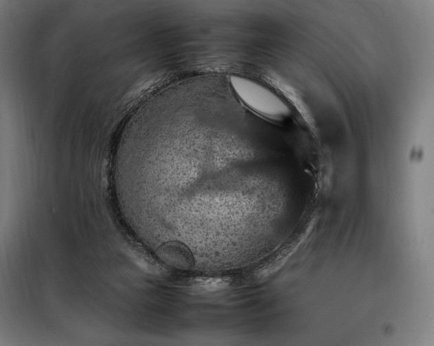 X0000098000161200804021040