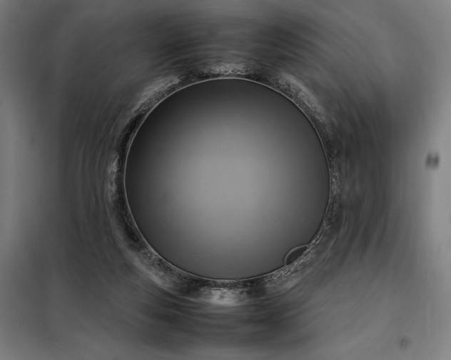 X0000098000163200804021040