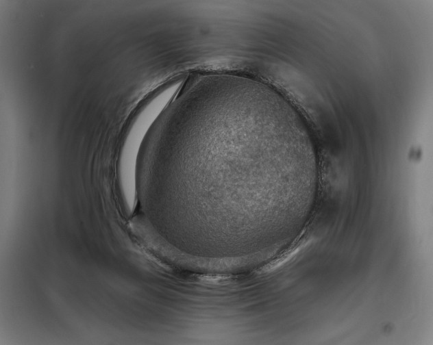 X0000098000164200804021040