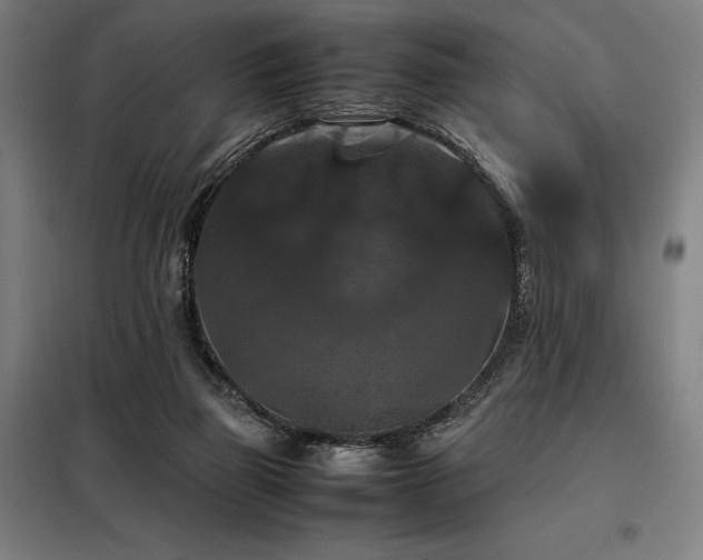 X0000098000165200804021040