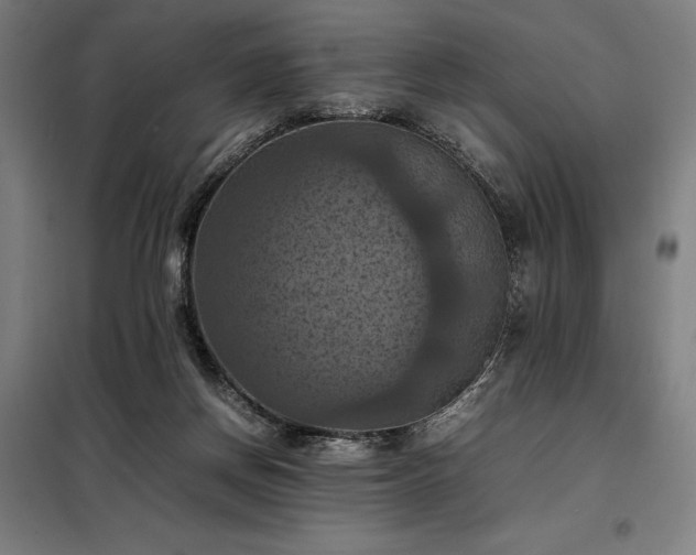 X0000098000166200804021040